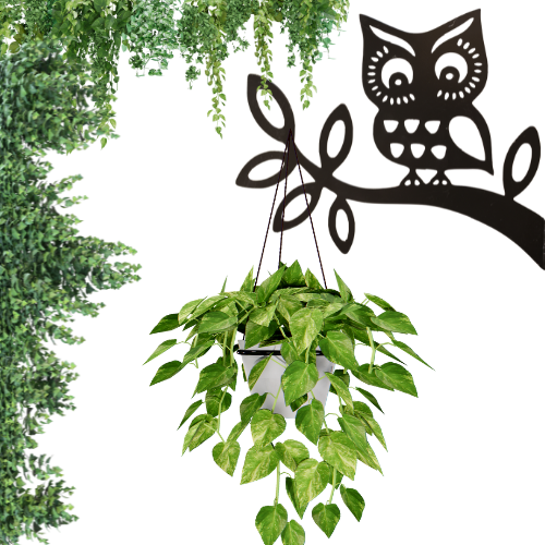 "Nature-inspired metal wall planter holder with a laser-cut design, crafted from durable metal and powder-coated for rust resistance. Holds hanging pots up to 20 kg, suitable for indoor and outdoor spaces such as gardens, balconies, patios, and living areas."