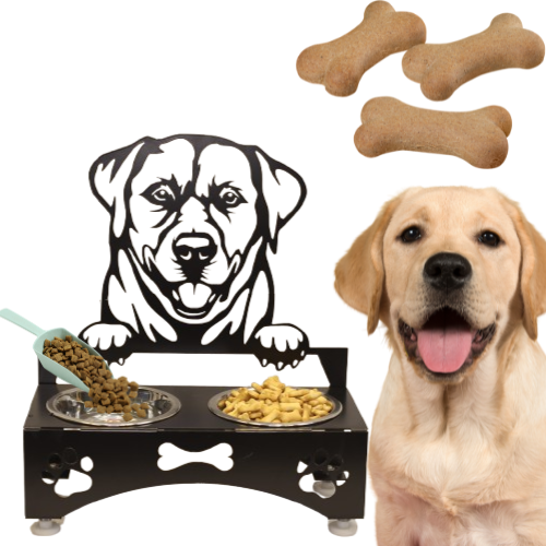 "Metal dog feeding station with a black silhouette of a dog, featuring two stainless steel bowls and adjustable legs for height, designed for durability and style."