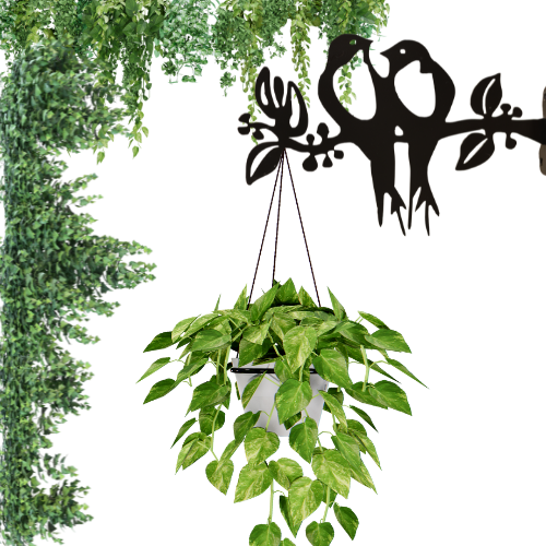 "Nature-inspired metal wall planter holder with a laser-cut design, crafted from durable metal and powder-coated for rust resistance. Holds hanging pots up to 20 kg, suitable for indoor and outdoor spaces such as gardens, balconies, patios, and living areas."