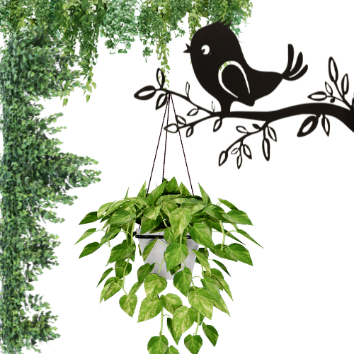 "Nature-inspired metal wall planter holder with a laser-cut design, crafted from durable metal and powder-coated for rust resistance. Holds hanging pots up to 20 kg, suitable for indoor and outdoor spaces such as gardens, balconies, patios, and living areas."